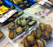 uni (sea urchins)