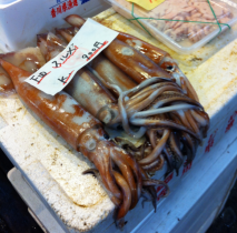 ika (squid)