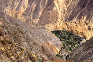 The Sangalle (Oasis), the green patch at the bottom.